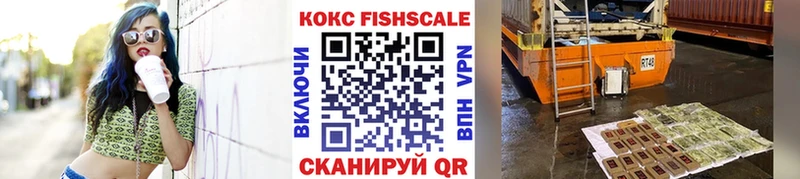 Купить  Новомосковск  Кокаин FishScale 