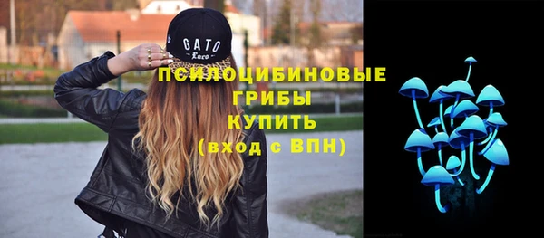 мдма Краснослободск