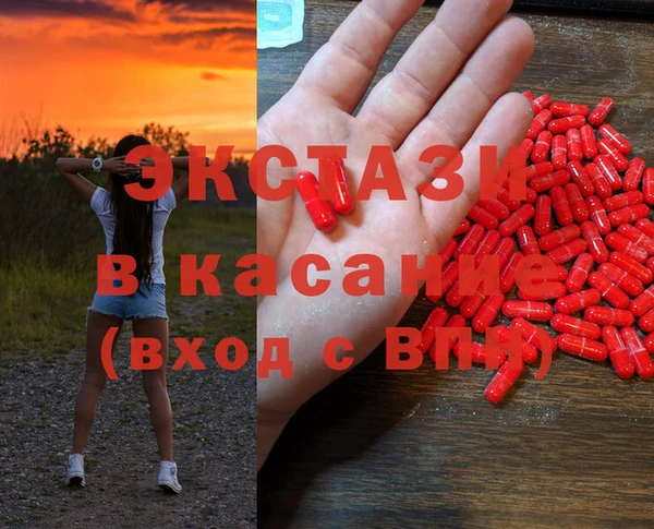 стафф Корсаков