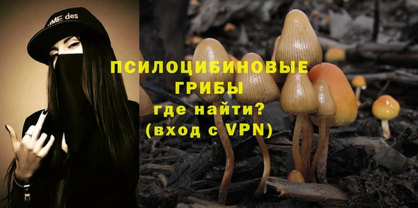 стафф Корсаков